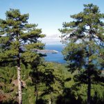 Golden Beach, hegyek